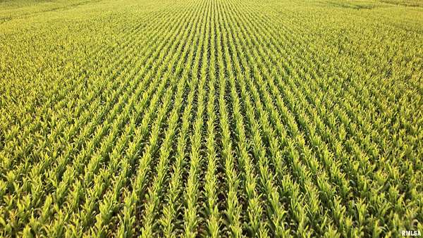 85 Acres of Recreational Land & Farm for Sale in Dahinda, Illinois