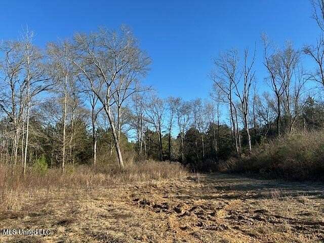 50.8 Acres of Land for Sale in McComb, Mississippi