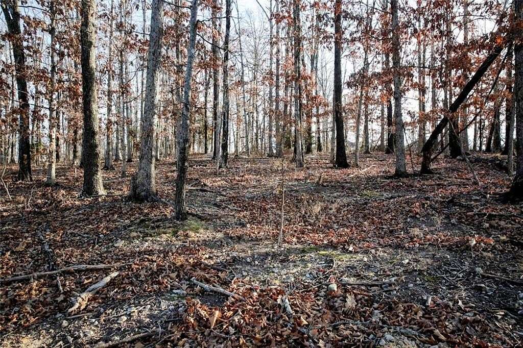 0.24 Acres of Residential Land for Sale in Bella Vista, Arkansas