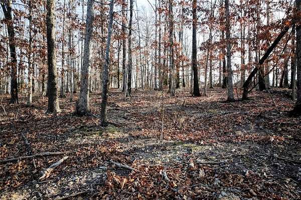 0.24 Acres of Residential Land for Sale in Bella Vista, Arkansas