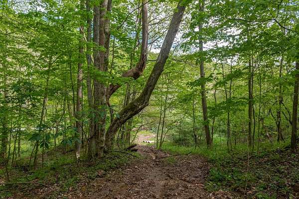 36 Acres of Recreational Land for Sale in Jefferson Township, Ohio
