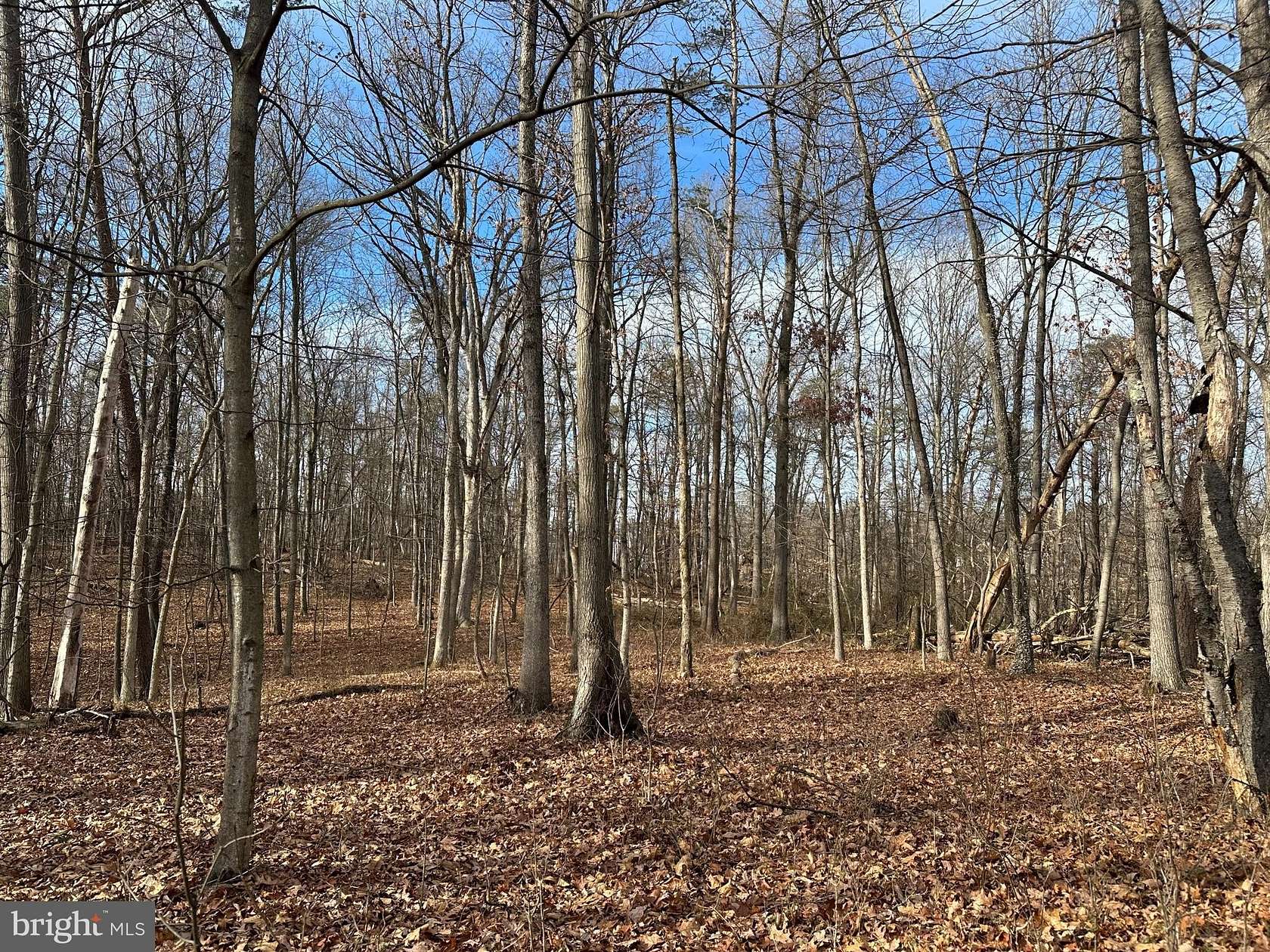 23.3 Acres of Recreational Land for Sale in Falling Waters, West Virginia