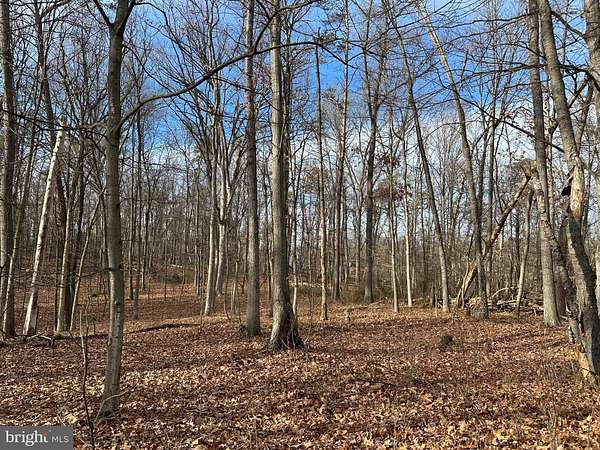 23.3 Acres of Recreational Land for Sale in Falling Waters, West Virginia