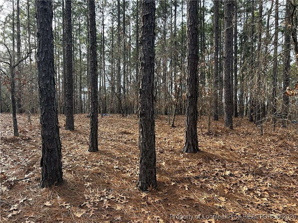 1 Acre of Residential Land for Sale in Cameron, North Carolina