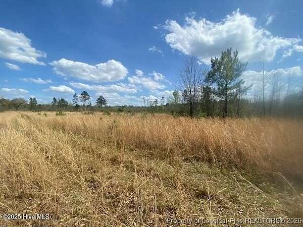5.78 Acres of Residential Land for Sale in Wagram, North Carolina