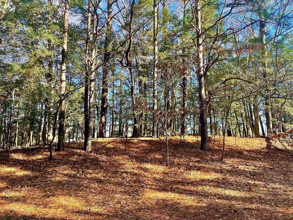 0.21 Acres of Residential Land for Sale in Greenbackville, Virginia