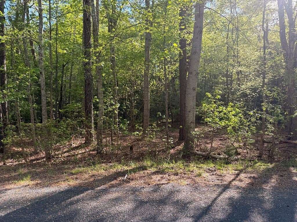 0.23 Acres of Residential Land for Sale in Greenbackville, Virginia