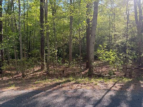 0.23 Acres of Residential Land for Sale in Greenbackville, Virginia