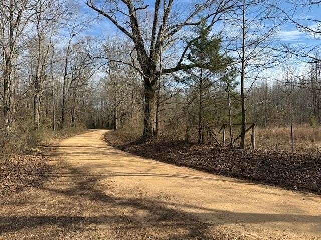22.3 Acres of Recreational Land & Farm for Sale in Savannah, Tennessee