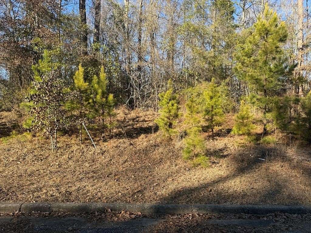 0.4 Acres of Residential Land for Sale in Ozark, Alabama