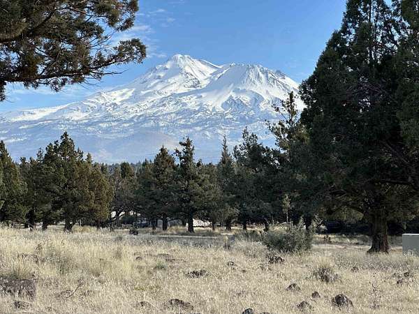 0.24 Acres of Land for Sale in Weed, California