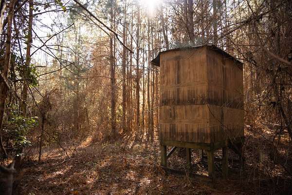 82 Acres of Recreational Land for Sale in Brent, Alabama