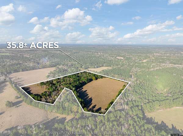 35.8 Acres of Recreational & Residential Land for Sale in Palestine, Texas