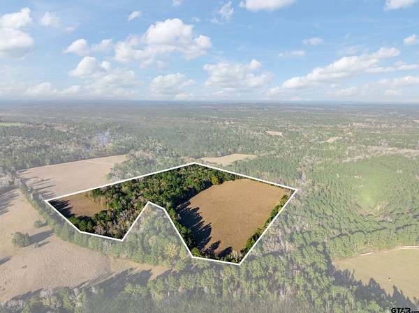 35.7 Acres of Recreational & Residential Land for Sale in Palestine, Texas