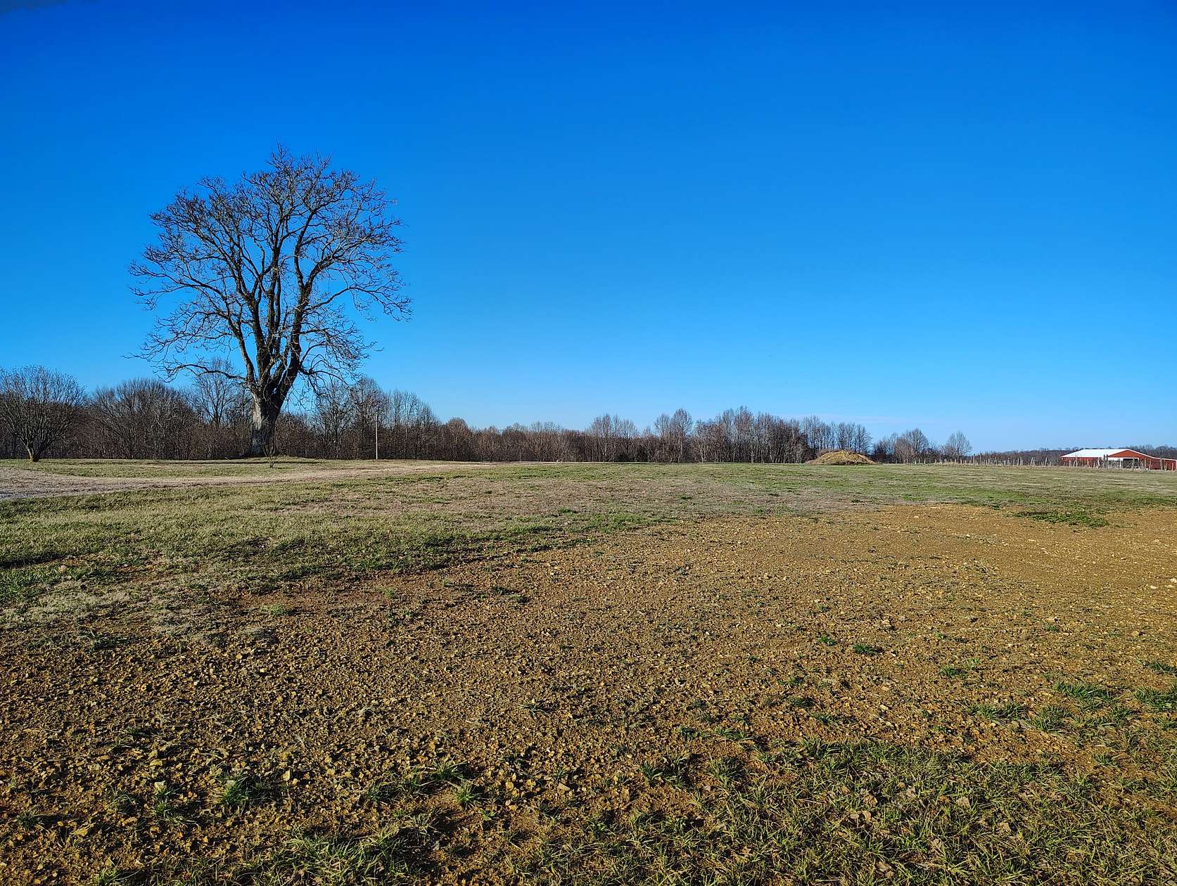 13.2 Acres of Land for Sale in Lafayette, Tennessee