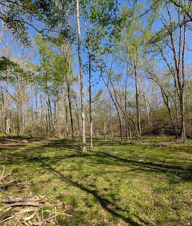 10.7 Acres of Recreational & Residential Land for Sale in Dickson, Tennessee