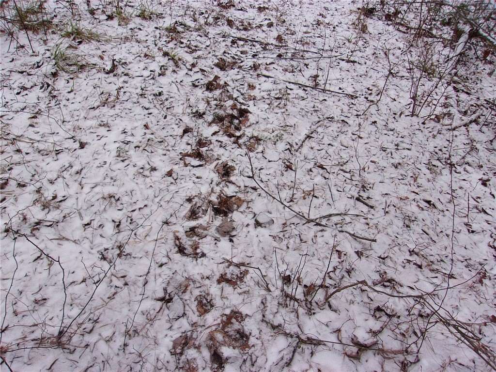 98 Acres of Recreational Land & Farm for Sale in Lockwood, New York