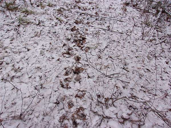 98 Acres of Recreational Land & Farm for Sale in Lockwood, New York