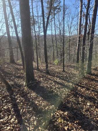 10.7 Acres of Land for Sale in Mountain View, Arkansas