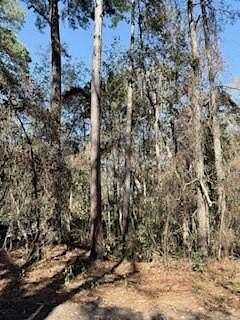 0.15 Acres of Residential Land for Sale in Midway, Georgia