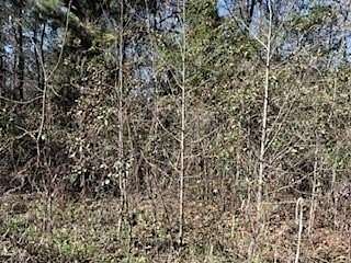 0.36 Acres of Residential Land for Sale in Midway, Georgia