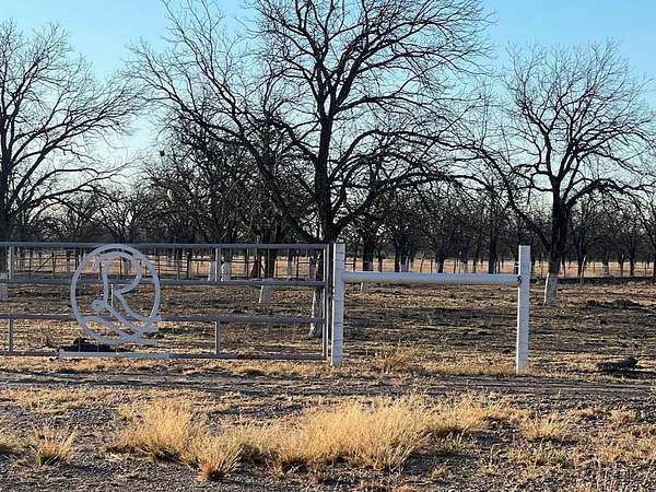 11 Acres of Land for Sale in Quemado, Texas