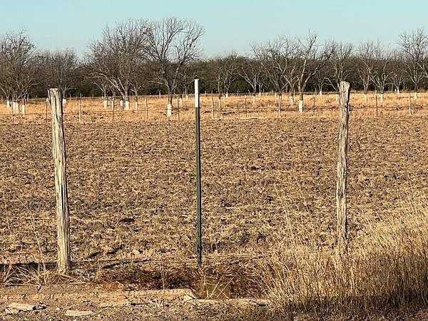 10 Acres of Agricultural Land for Sale in Quemado, Texas