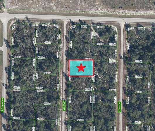 0.23 Acres of Residential Land for Sale in Lake Placid, Florida