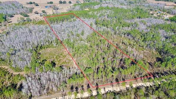 10.5 Acres of Recreational Land for Sale in Greenville, Florida