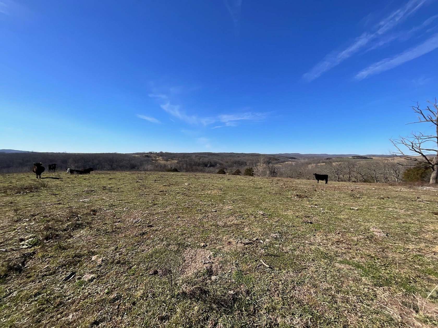 33 Acres of Land for Sale in Thornfield, Missouri