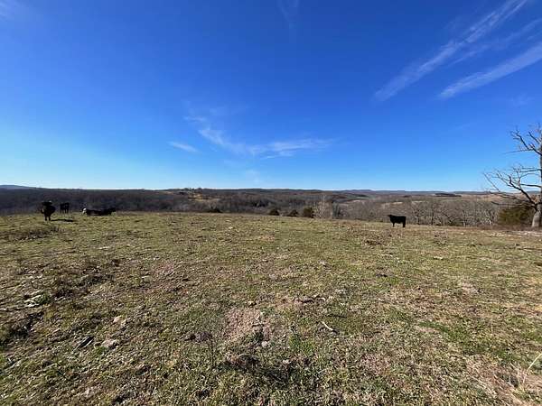 33 Acres of Land for Sale in Thornfield, Missouri