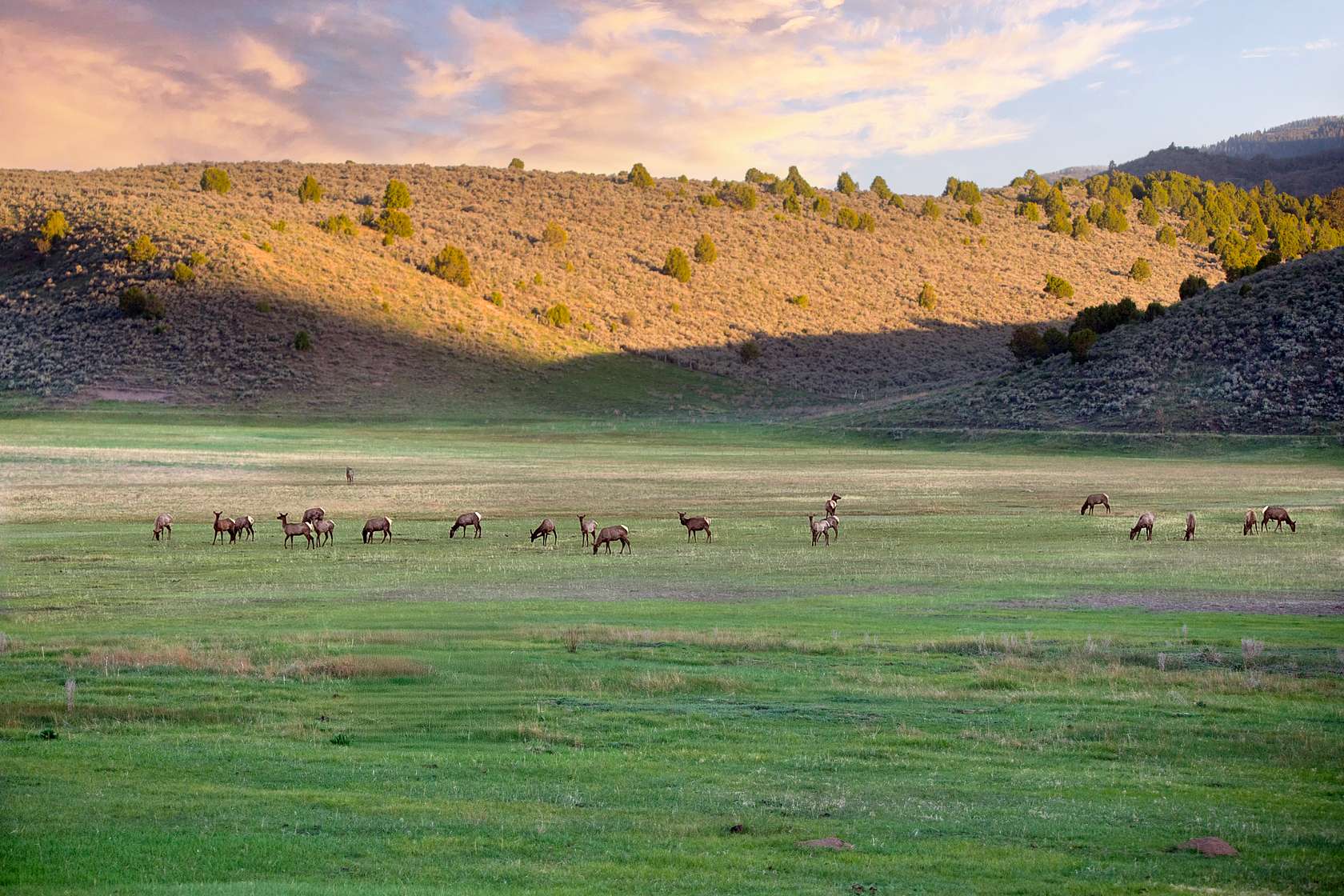 165 Acres of Recreational Land for Sale in Meeker, Colorado