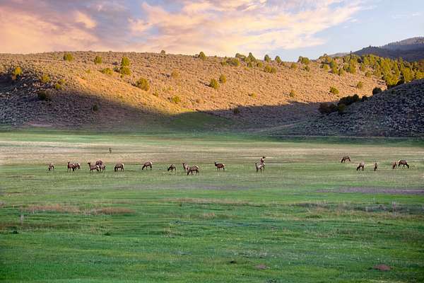 165 Acres of Recreational Land for Sale in Meeker, Colorado