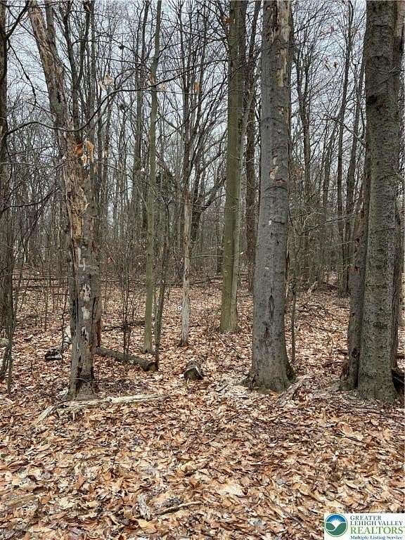 0.29 Acres of Residential Land for Sale in Coolbaugh Township, Pennsylvania