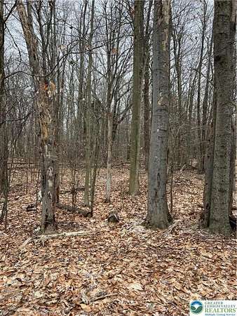 0.29 Acres of Residential Land for Sale in Coolbaugh Township, Pennsylvania