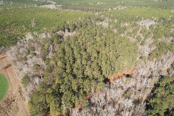 22 Acres of Recreational Land for Sale in Wrightsville, Georgia