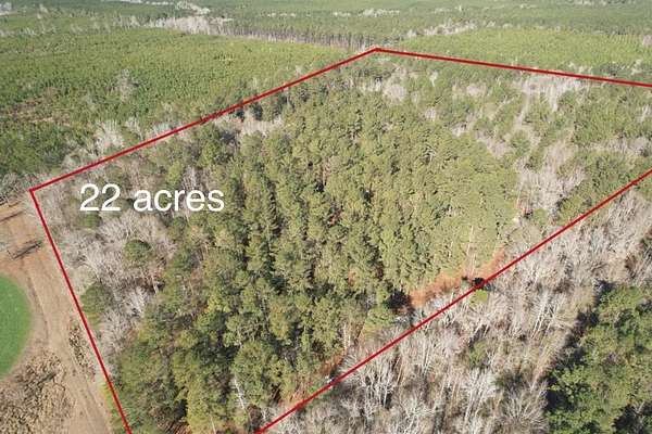 22 Acres of Recreational & Residential Land for Sale in Wrightsville, Georgia