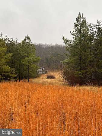 125 Acres of Land with Home for Sale in Cross Junction, Virginia