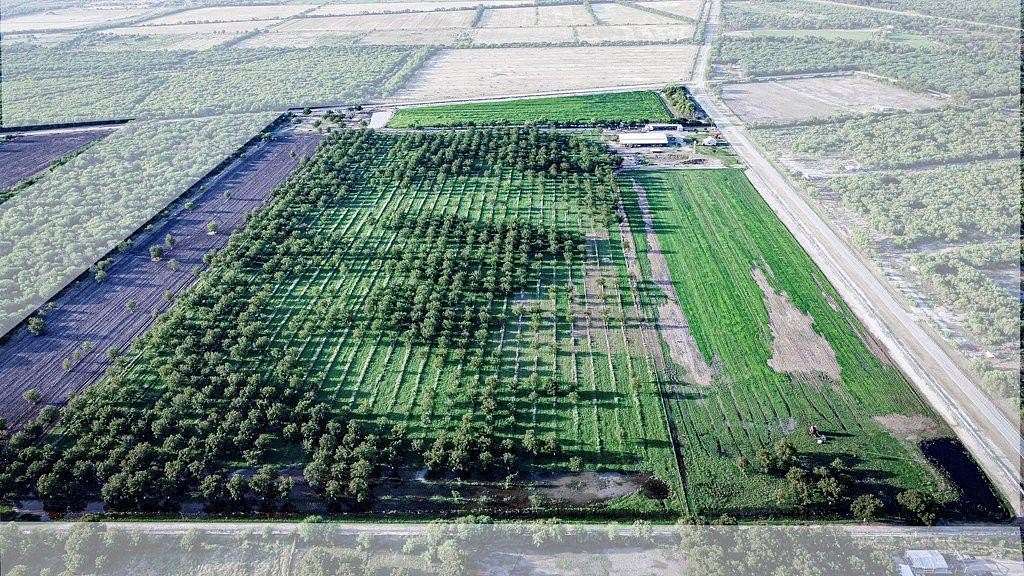 10 Acres of Agricultural Land for Sale in Quemado, Texas