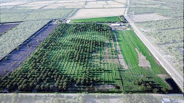 10 Acres of Agricultural Land for Sale in Quemado, Texas