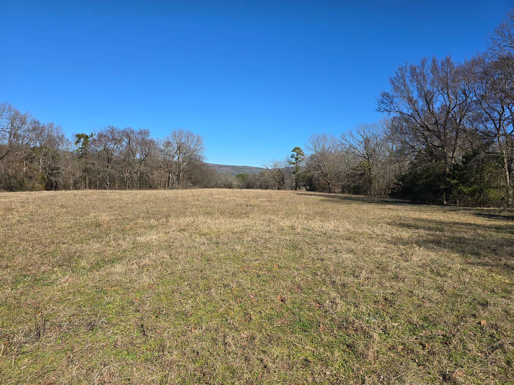 20 Acres of Land for Sale in Heavener, Oklahoma