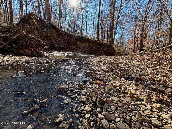 116 Acres of Land with Home for Sale in Yazoo City, Mississippi