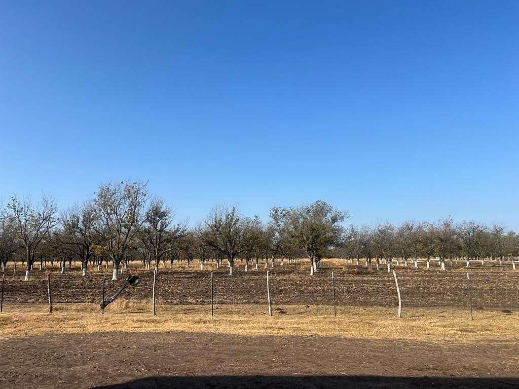 13.1 Acres of Land for Sale in Quemado, Texas