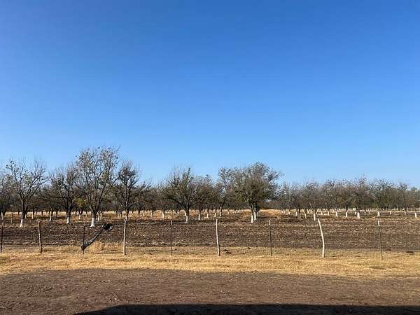 13.1 Acres of Land for Sale in Quemado, Texas