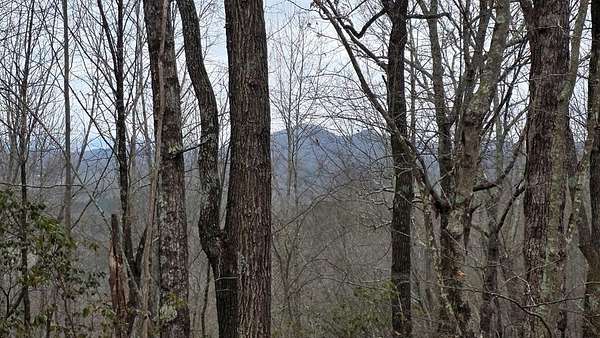 35 Acres of Recreational Land for Sale in Turtletown, Tennessee