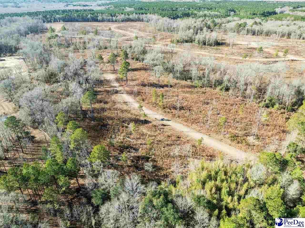 12.3 Acres of Land for Sale in Cheraw, South Carolina