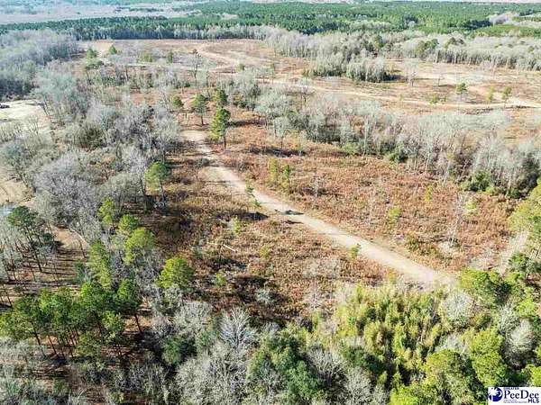 12.3 Acres of Land for Sale in Cheraw, South Carolina