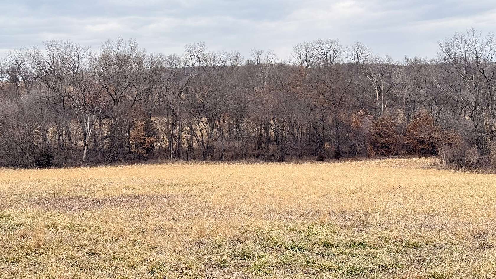40 Acres of Recreational Land & Farm for Sale in McFall, Missouri