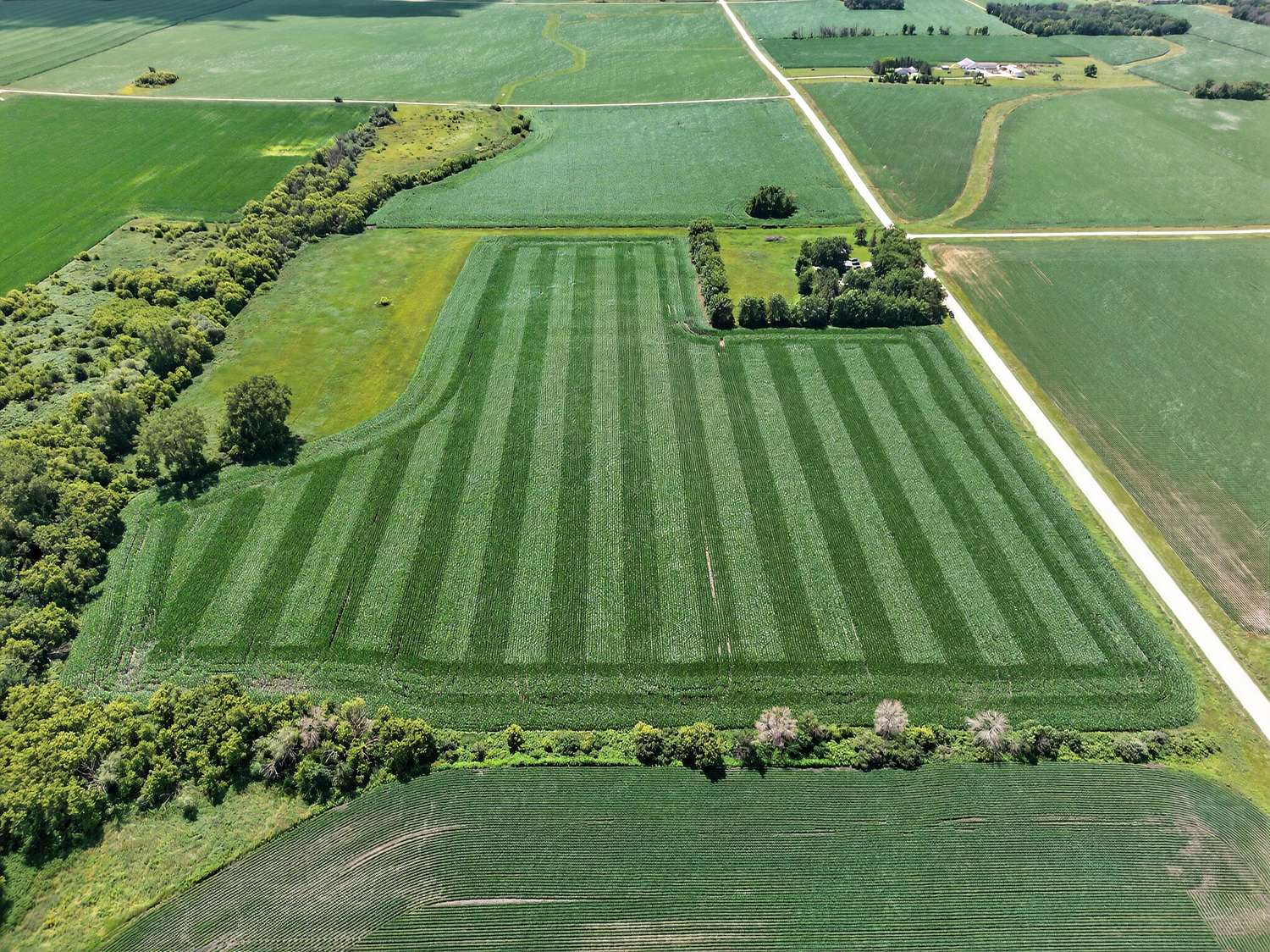 75 Acres of Agricultural Land for Sale in Hayfield, Minnesota