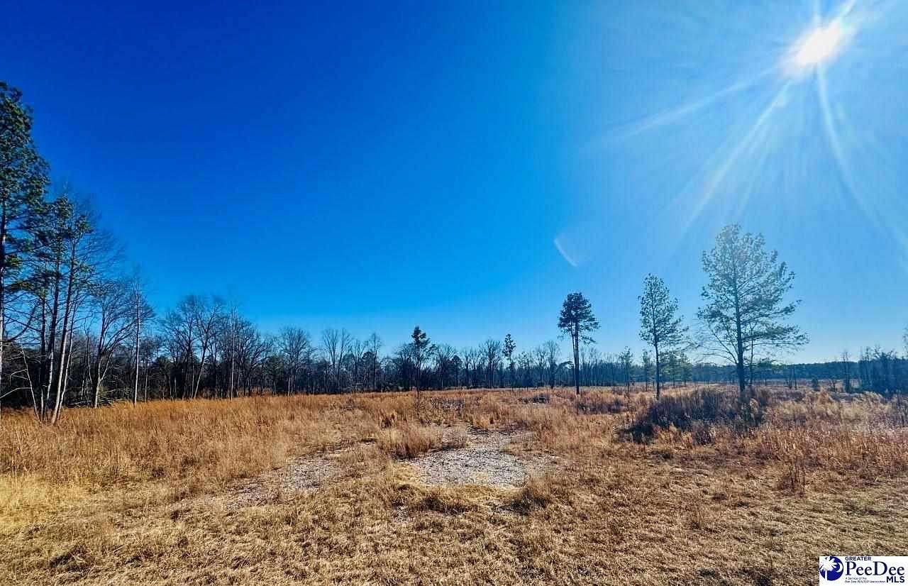 8.43 Acres of Residential Land for Sale in Cheraw, South Carolina